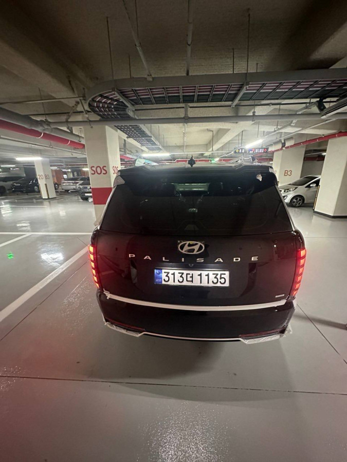 Hyundai Pallisade new